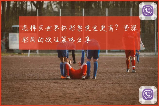 怎样买世界杯彩票奖金更高?资深彩民的投注策略分享