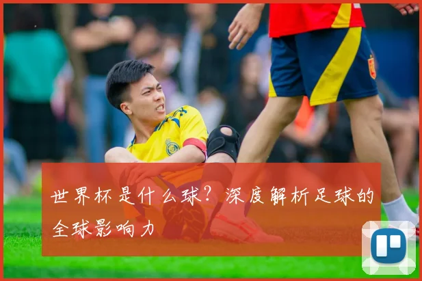 世界杯是什么球？深度解析足球的全球影响力