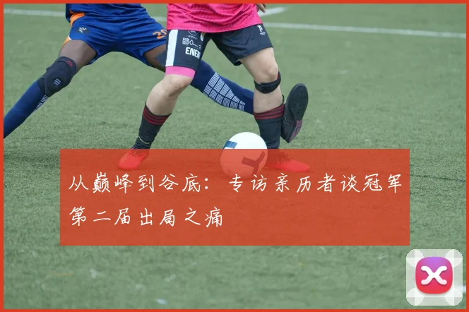 从巅峰到谷底：专访亲历者谈冠军第二届出局之痛