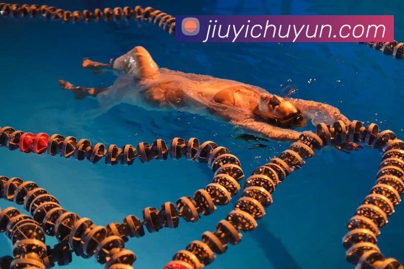 zoty体育官网APP 体育赛事宣传图